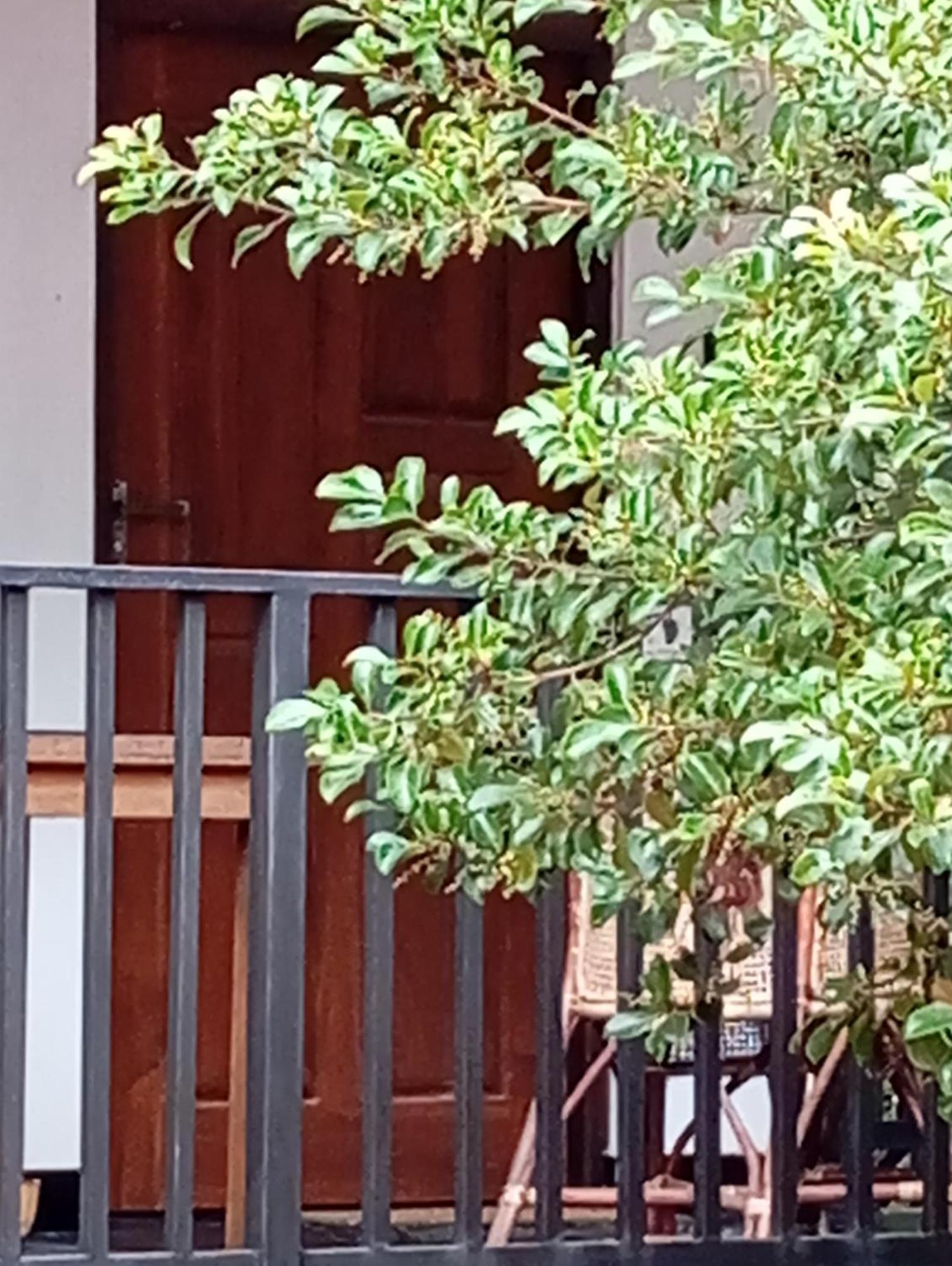 Ceylonima Home Stay อนุราธปุระ ห้อง รูปภาพ